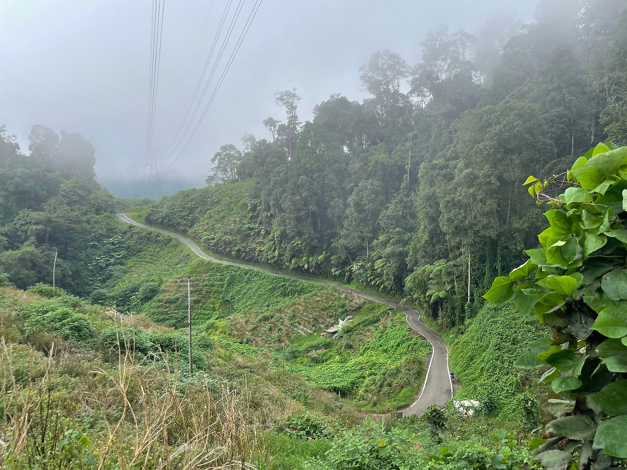 2024-12-22 09.52.59.jpg