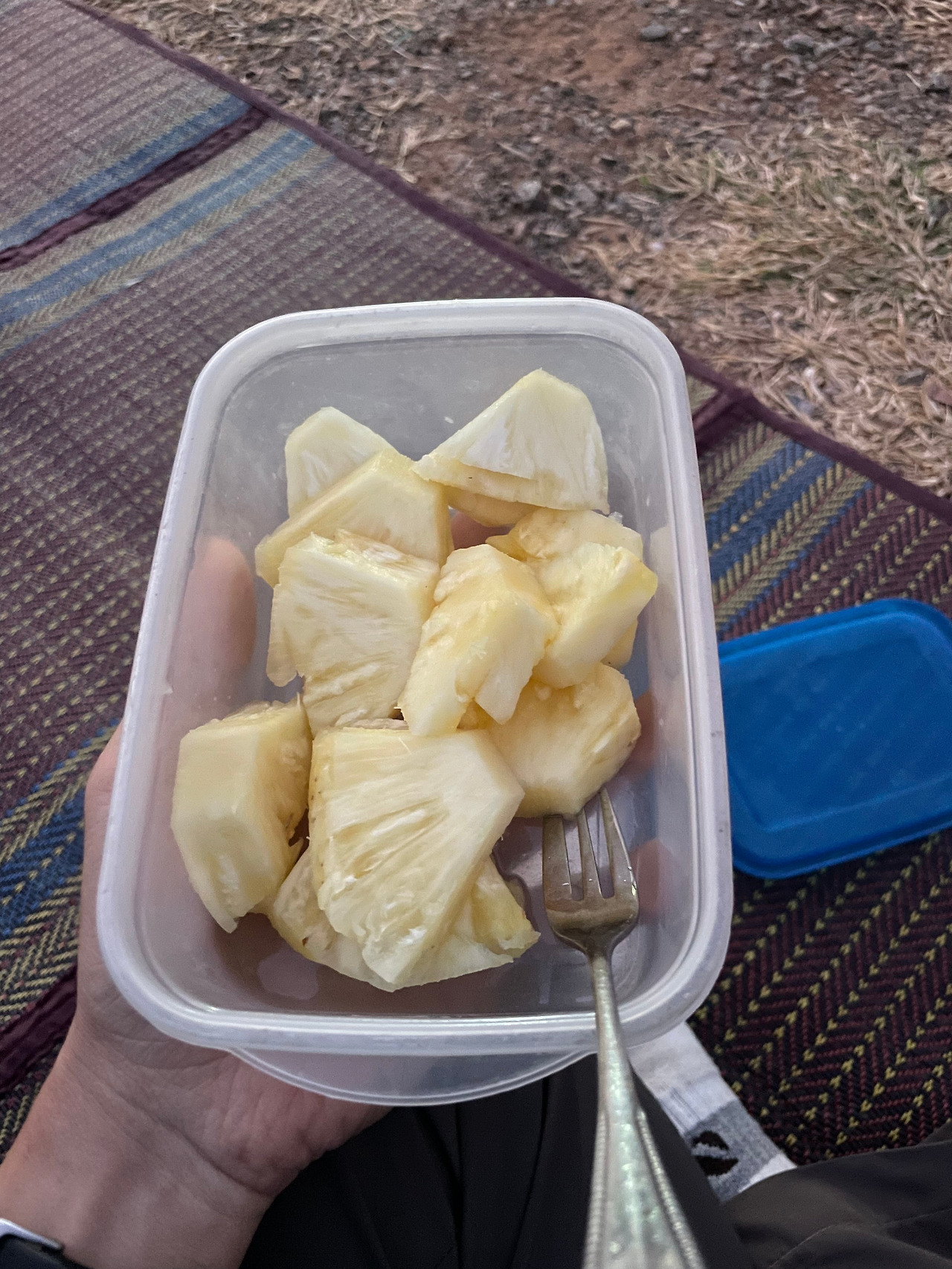 2025-01-14 18.21.49.jpg