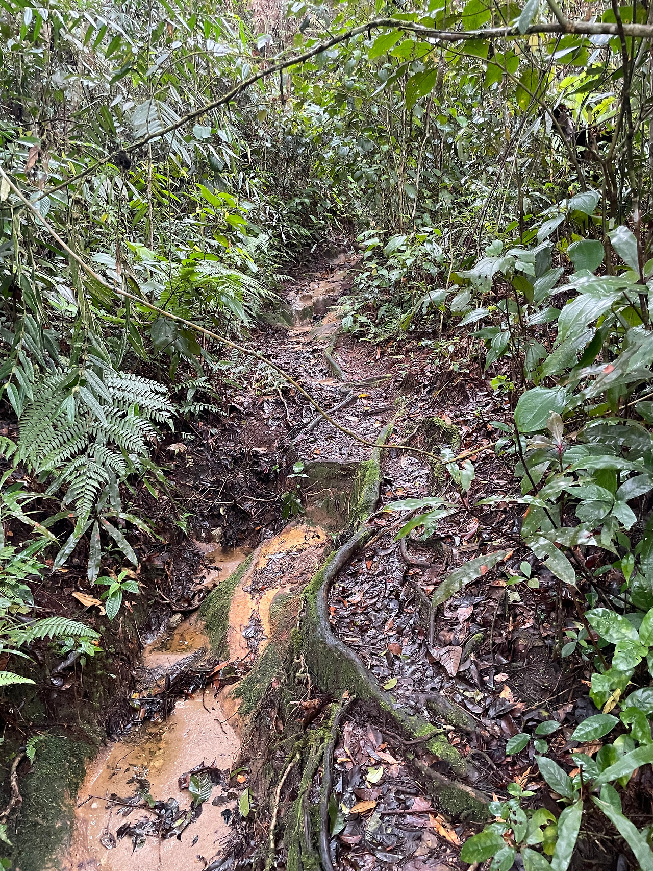 2024-12-23 09.42.47.jpg