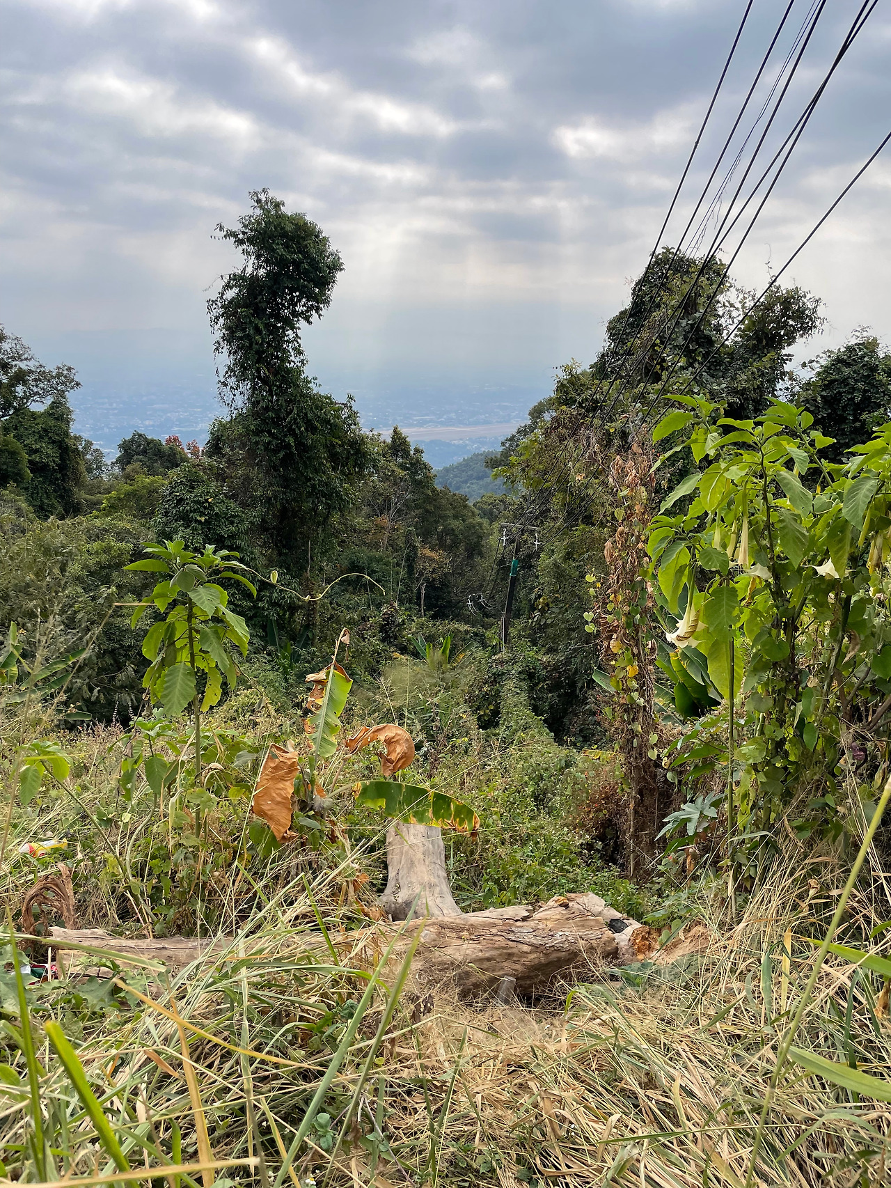 2025-01-28 10.34.04.jpg