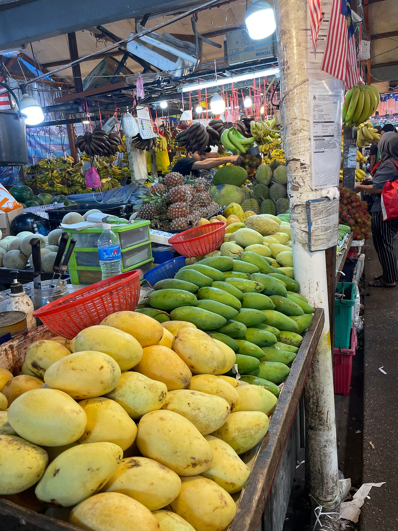 2024-12-14 08.08.29.jpg