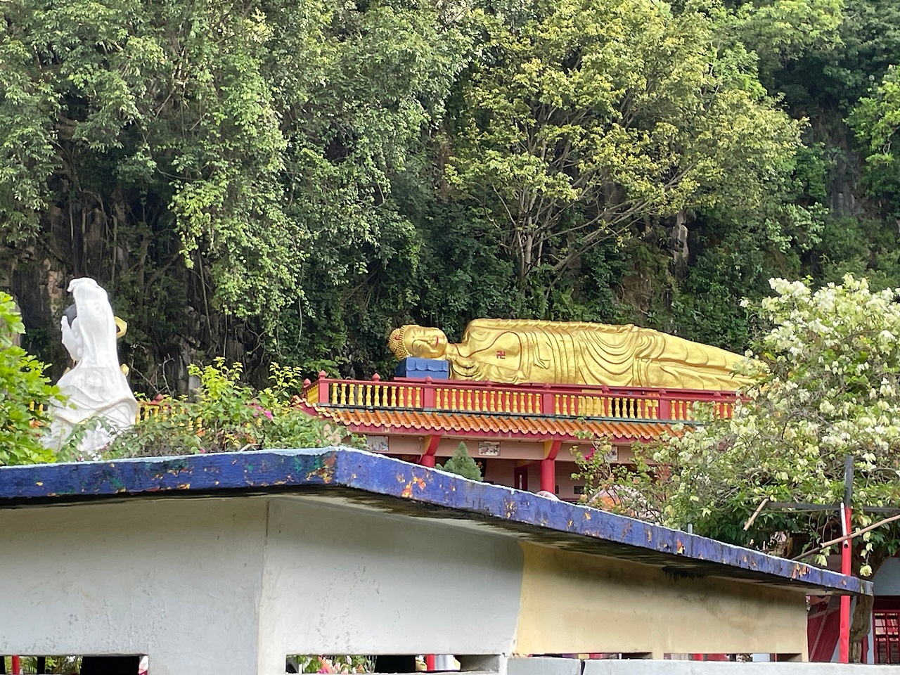 2024-12-18 09.39.54.jpg