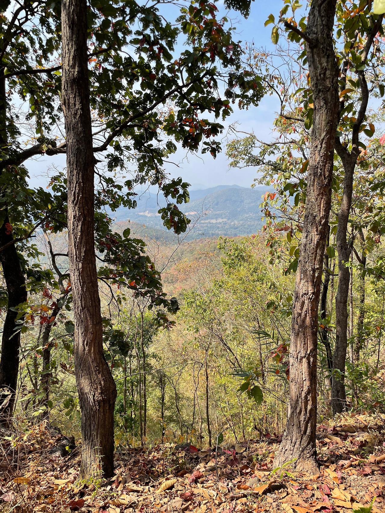 2025-01-29 11.13.04.jpg