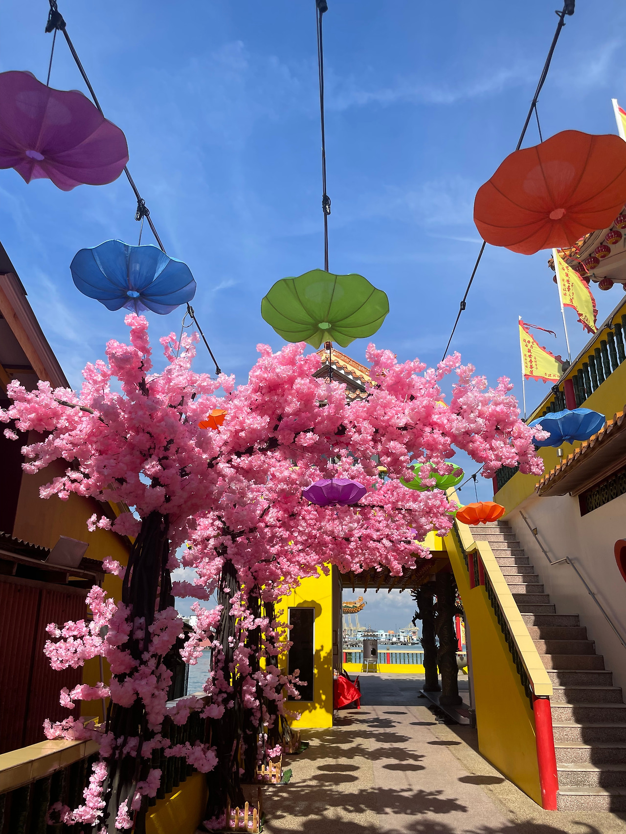 2025-01-01 16.28.39.jpg