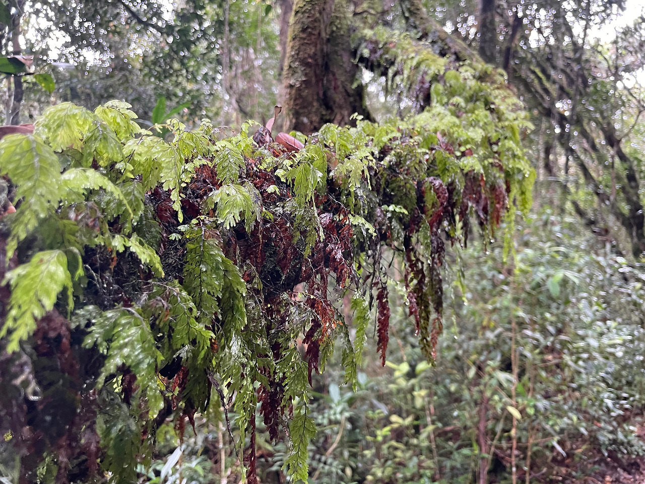 2024-12-23 09.57.27.jpg