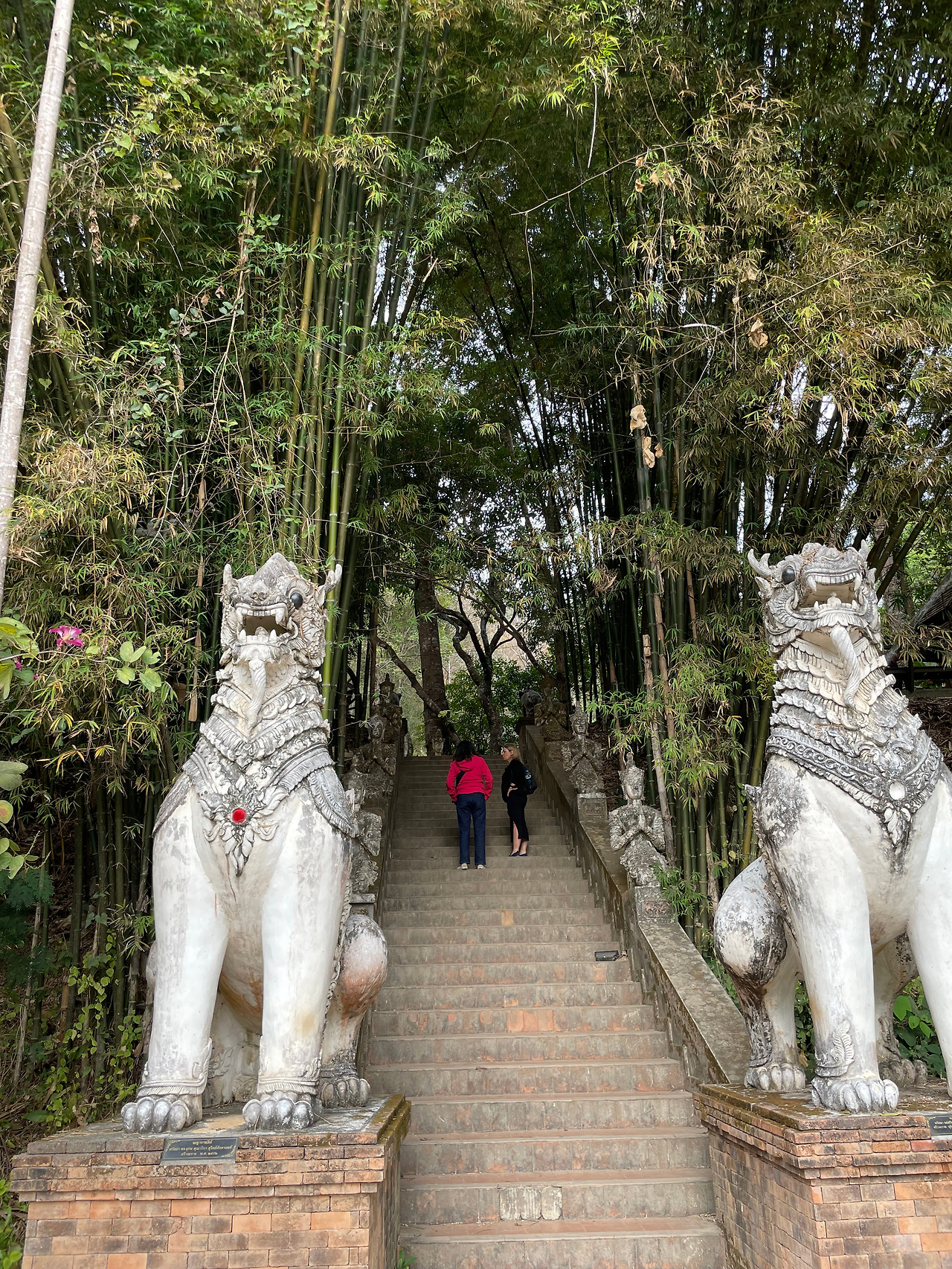 2025-01-28 09.46.42.jpg