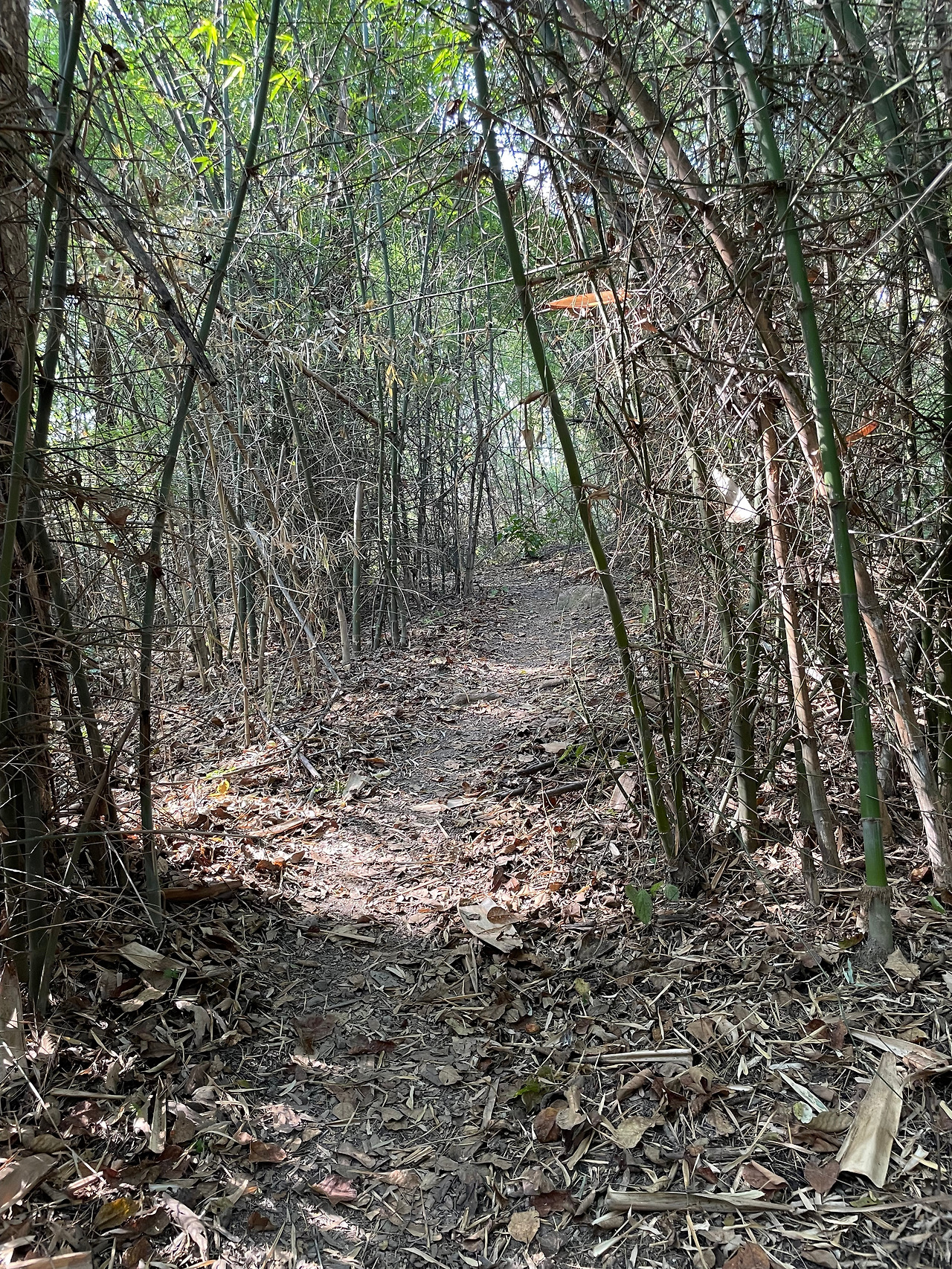 2025-01-29 10.20.11.jpg