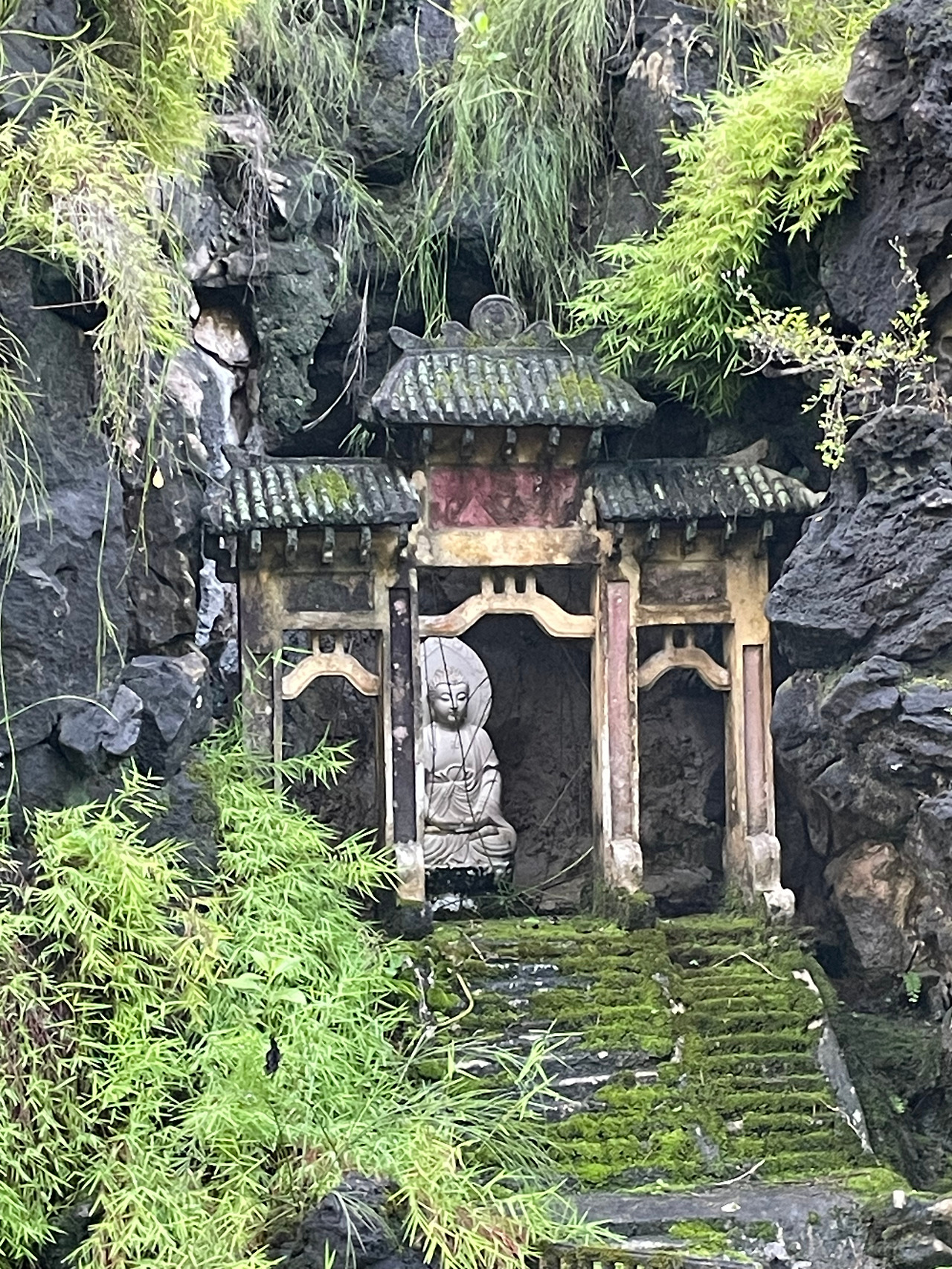 2024-12-18 08.07.54.jpg