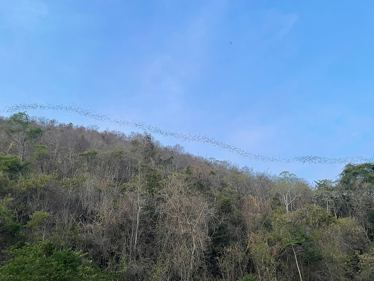 2025-01-14 18.10.30.jpg