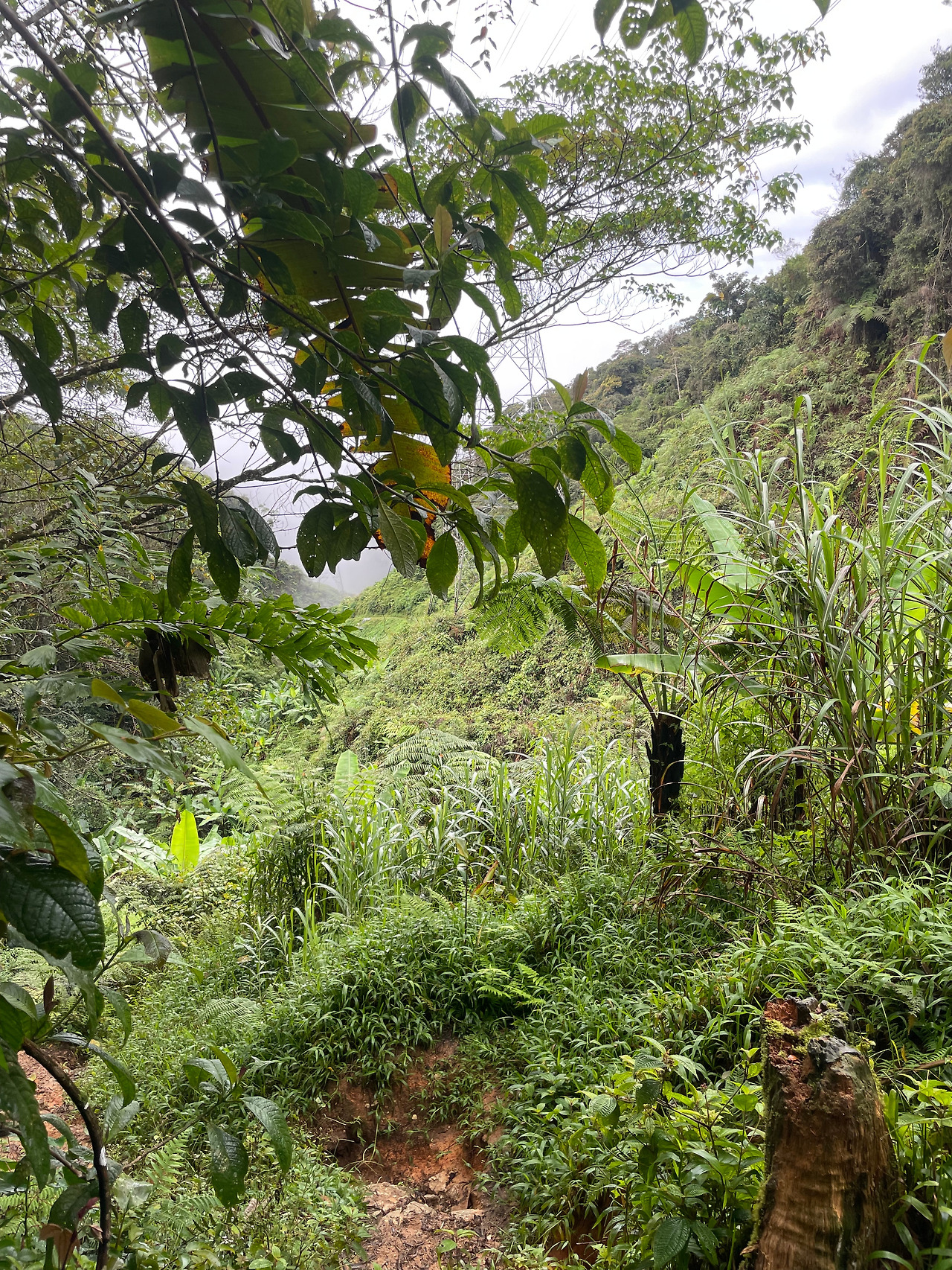 2024-12-22 09.15.11.jpg