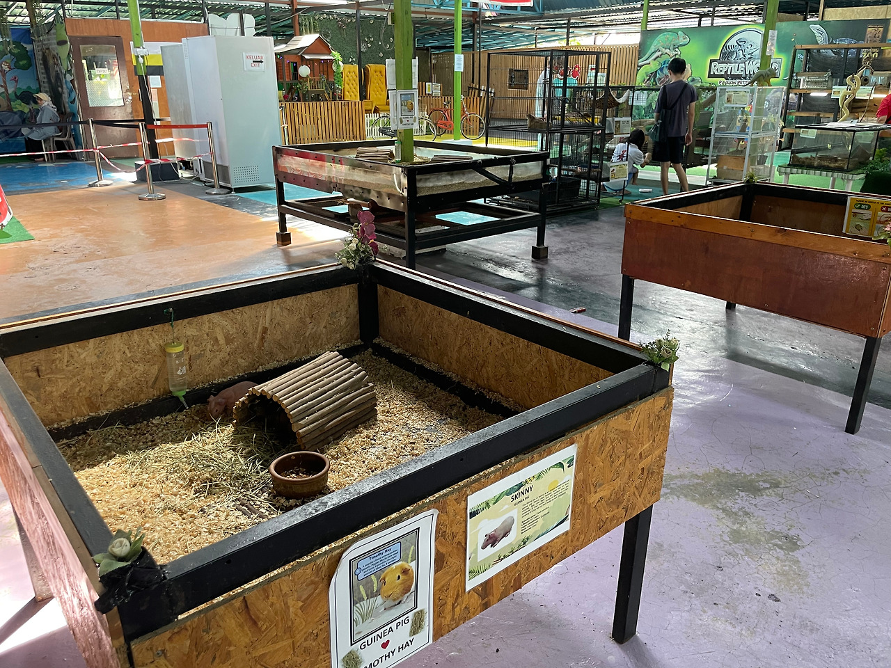 2024-12-19 11.33.48.jpg