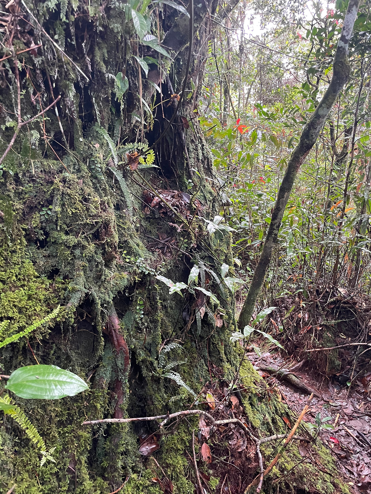 2024-12-23 09.44.37.jpg