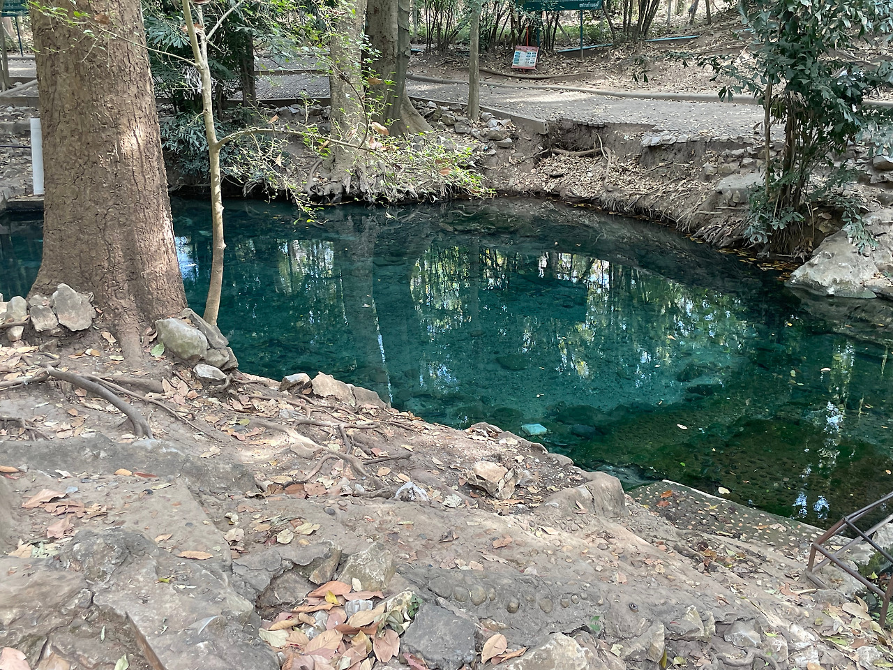 2025-01-14 15.27.02.jpg