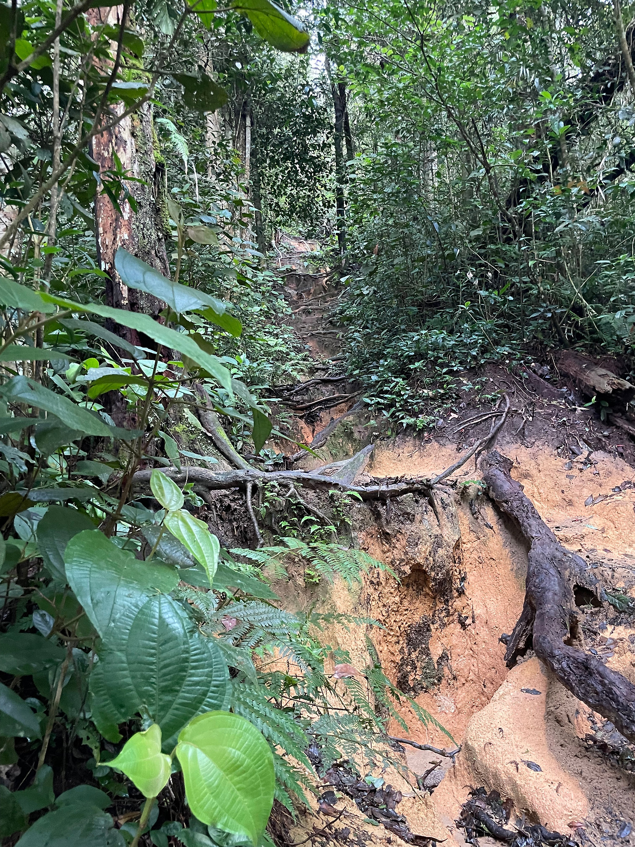 2024-12-22 08.19.57.jpg