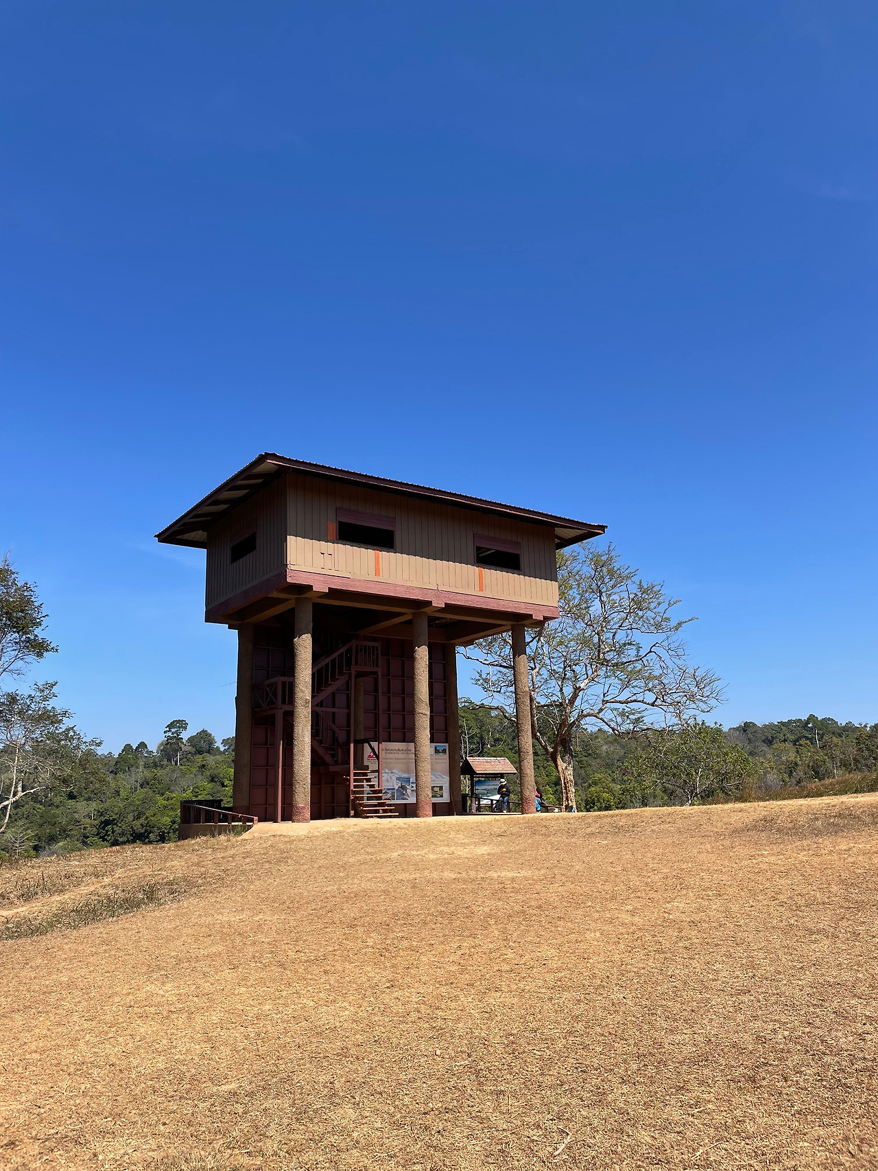 2025-01-13 12.58.35.jpg