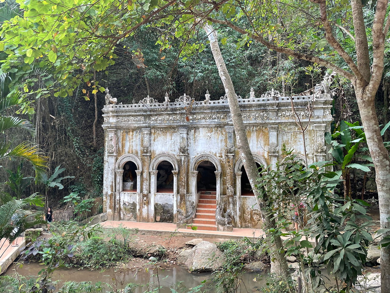 2025-01-28 09.44.33.jpg