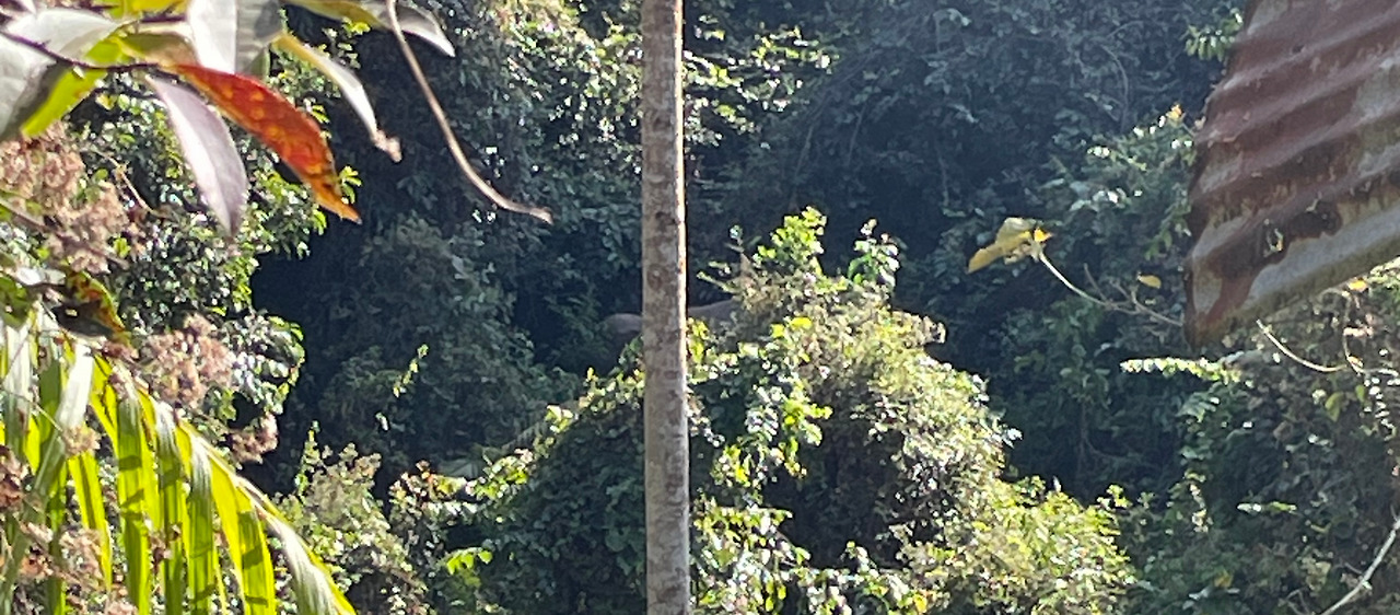 2025-01-13 14.58.42.jpg