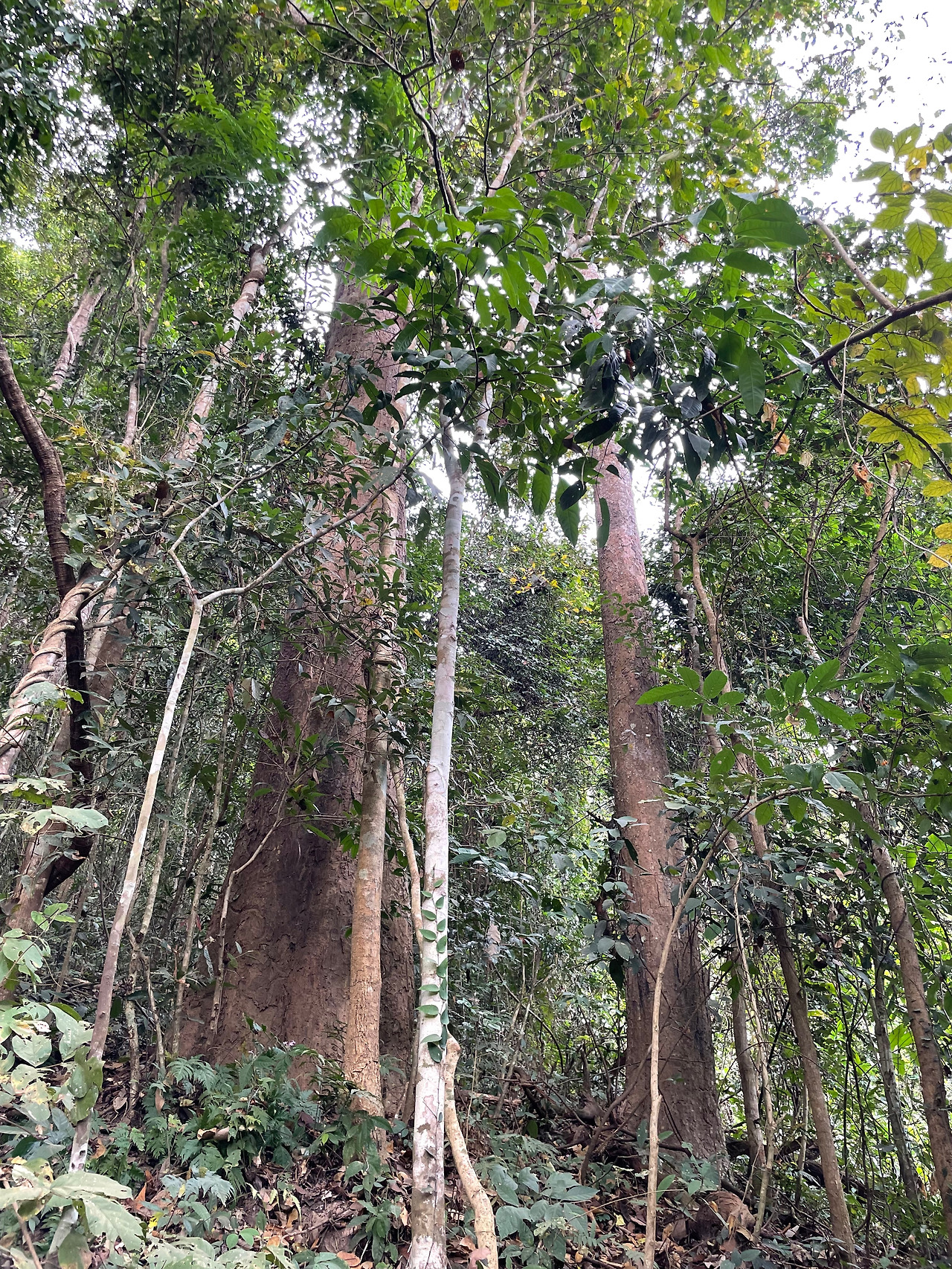 2025-01-28 10.27.05.jpg