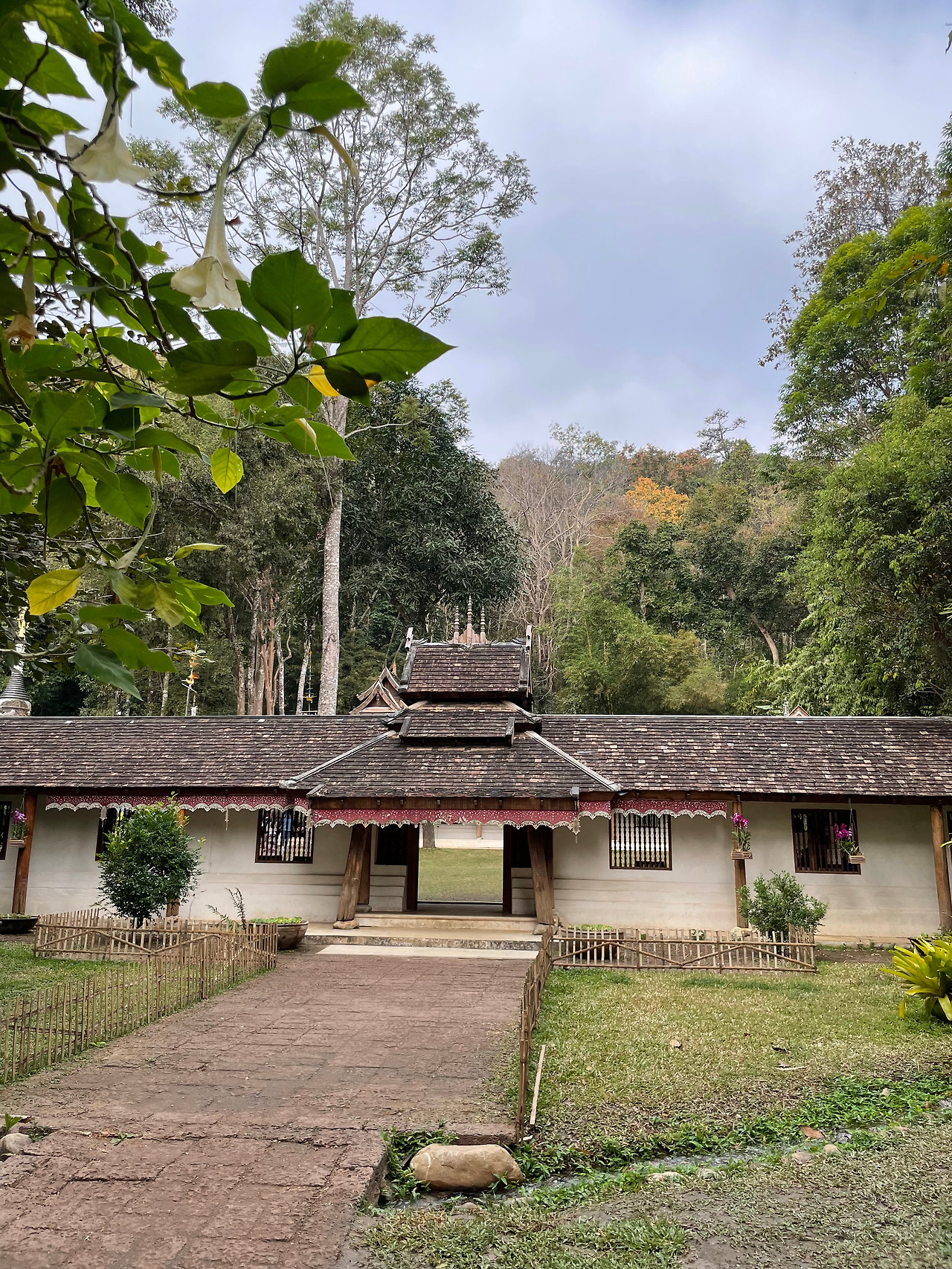 2025-01-28 09.37.57.jpg