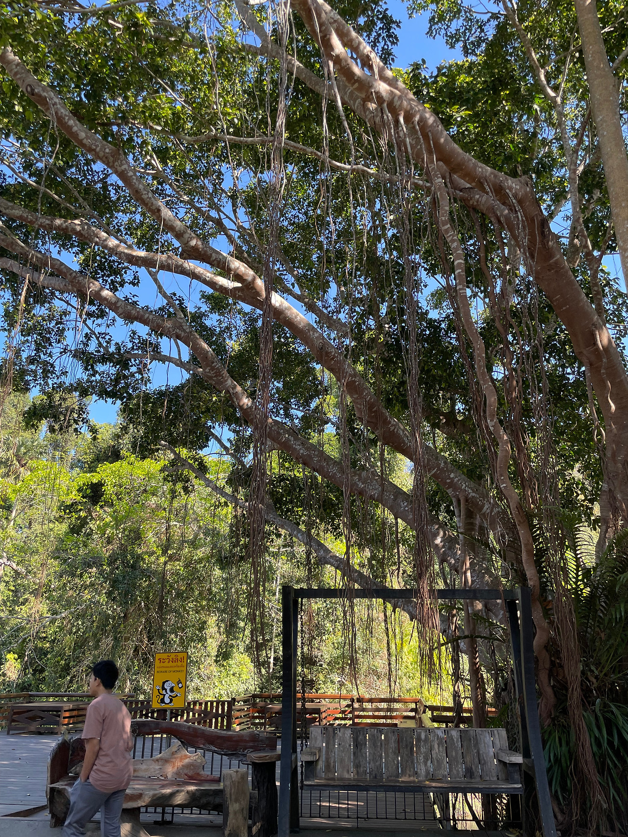 2025-01-13 10.07.58.jpg