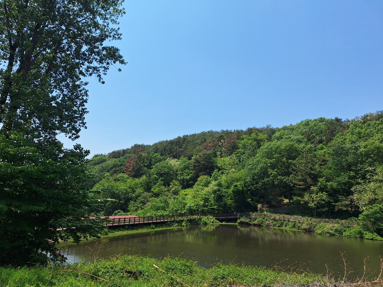 카지노 게임