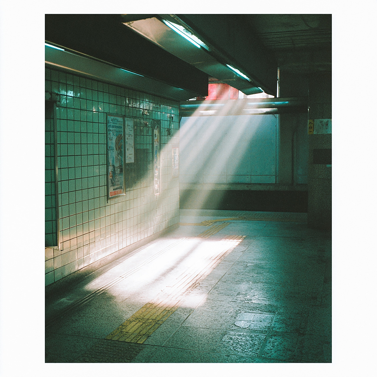 outrageous_lynx_50698_hoto_taken_on_expired_Kodak_Gold_35mm_f_65ecaa76-aa5a-4347-8ead-246d49a0d39f_2 (1) copy.jpg