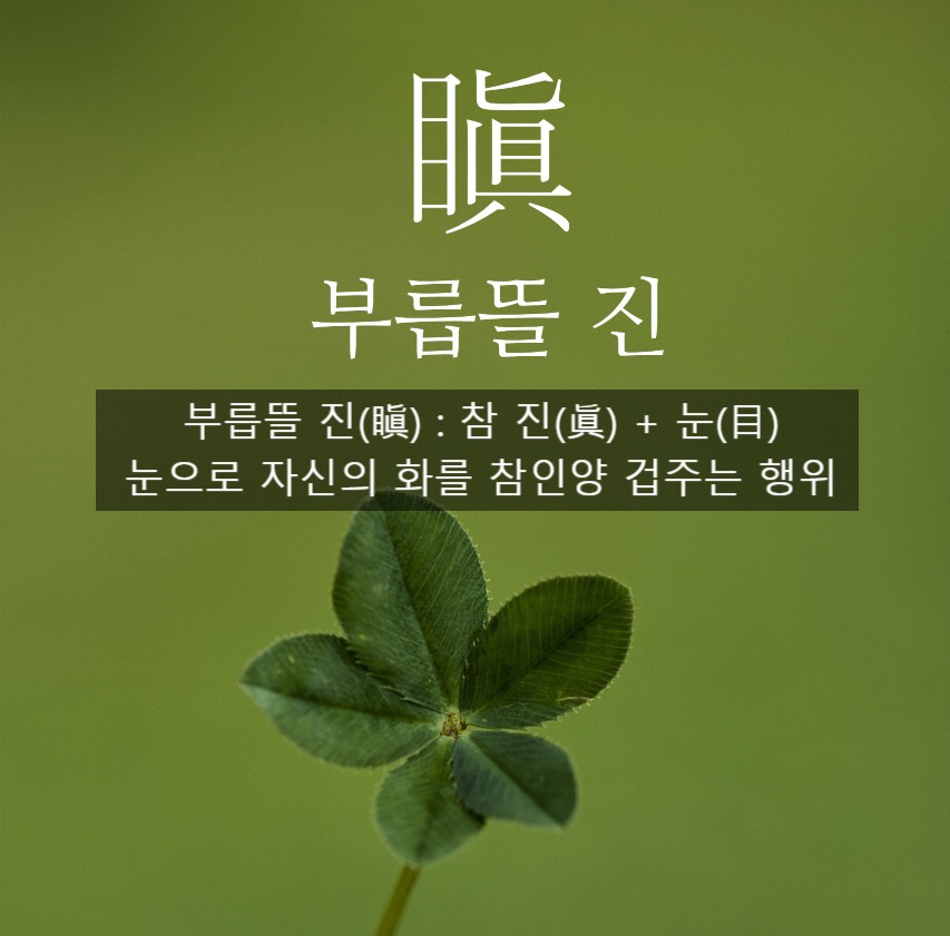 clover-2387940_1280_(1) (6).jpg