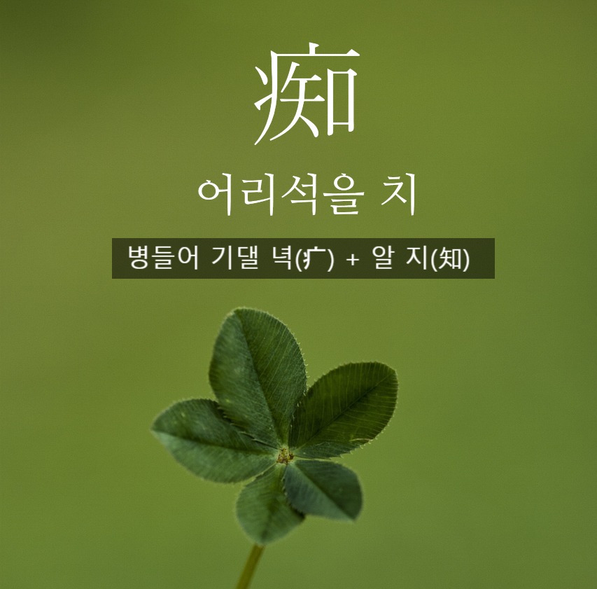 clover-2387940_1280_(1) (7).jpg