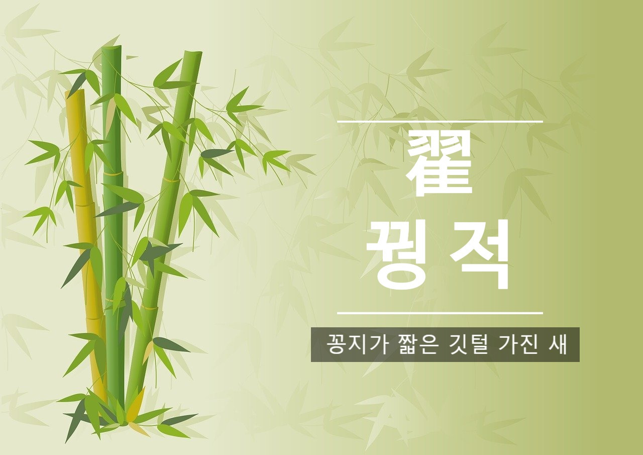 bamboo-8369576_1280 (3).jpg