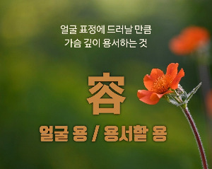 KakaoTalk_20241110_160514201.jpg