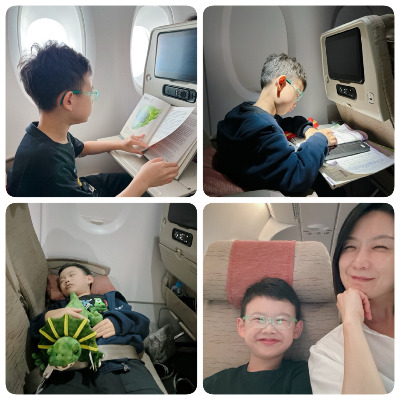 카지노 게임 사이트