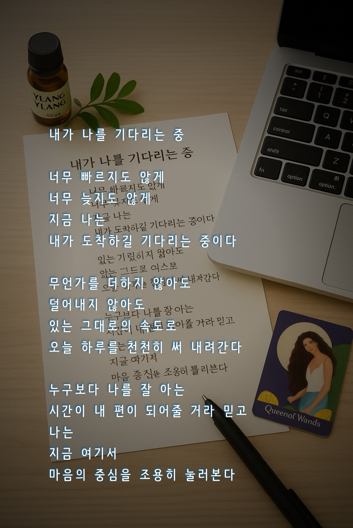 카지노 게임 사이트