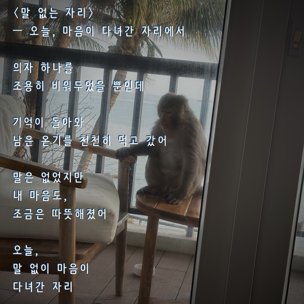 카지노 게임 추천