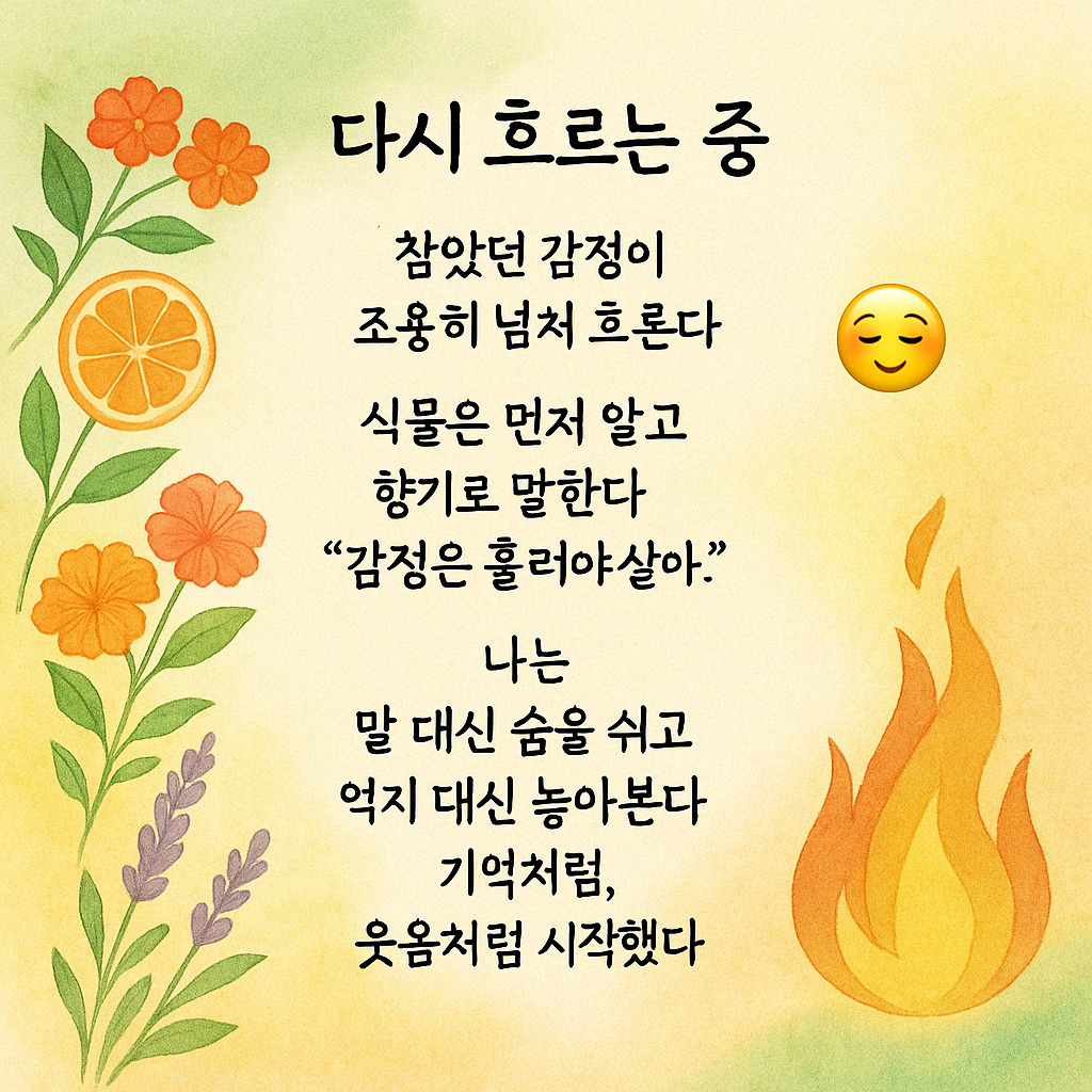 카지노 게임 사이트