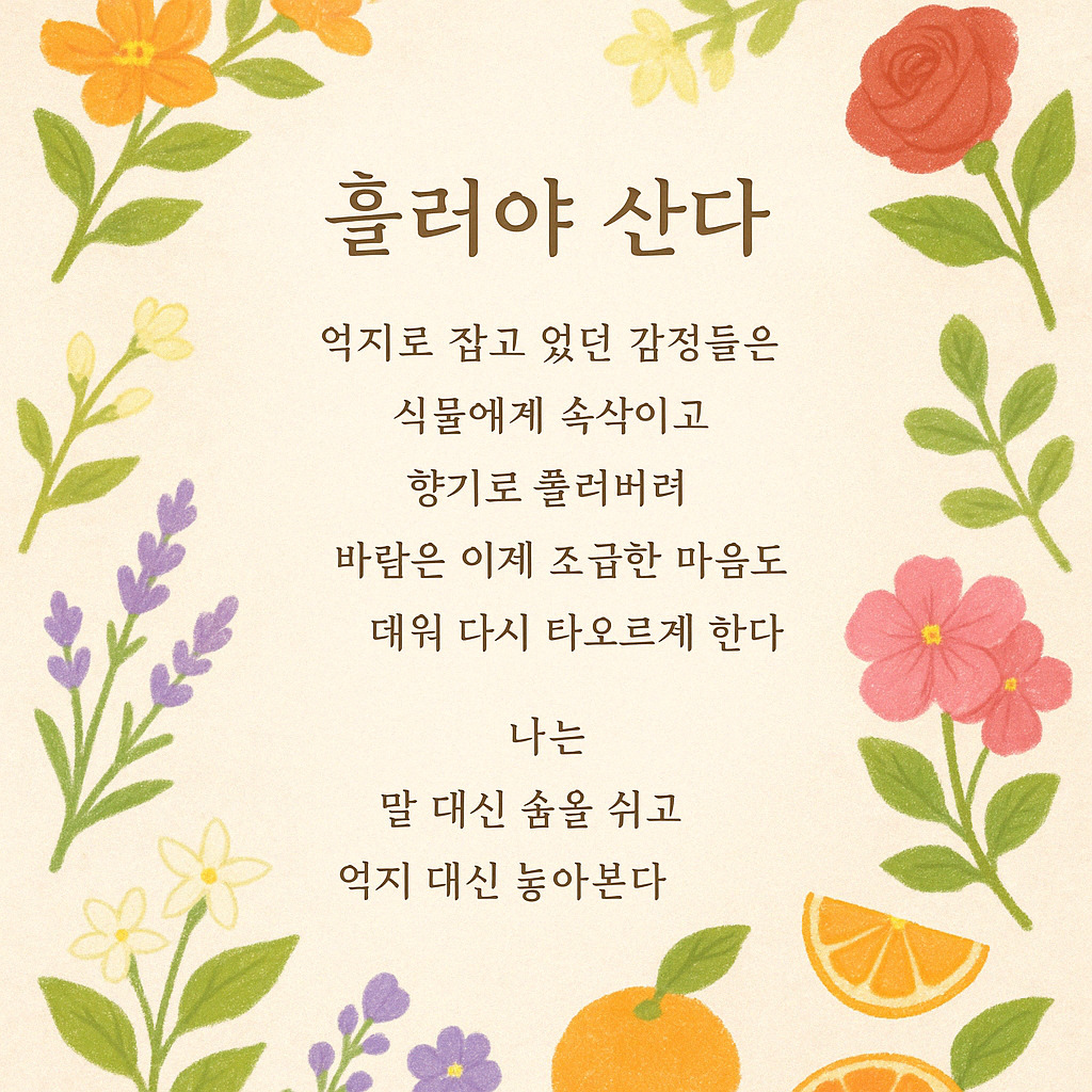 카지노 게임 사이트