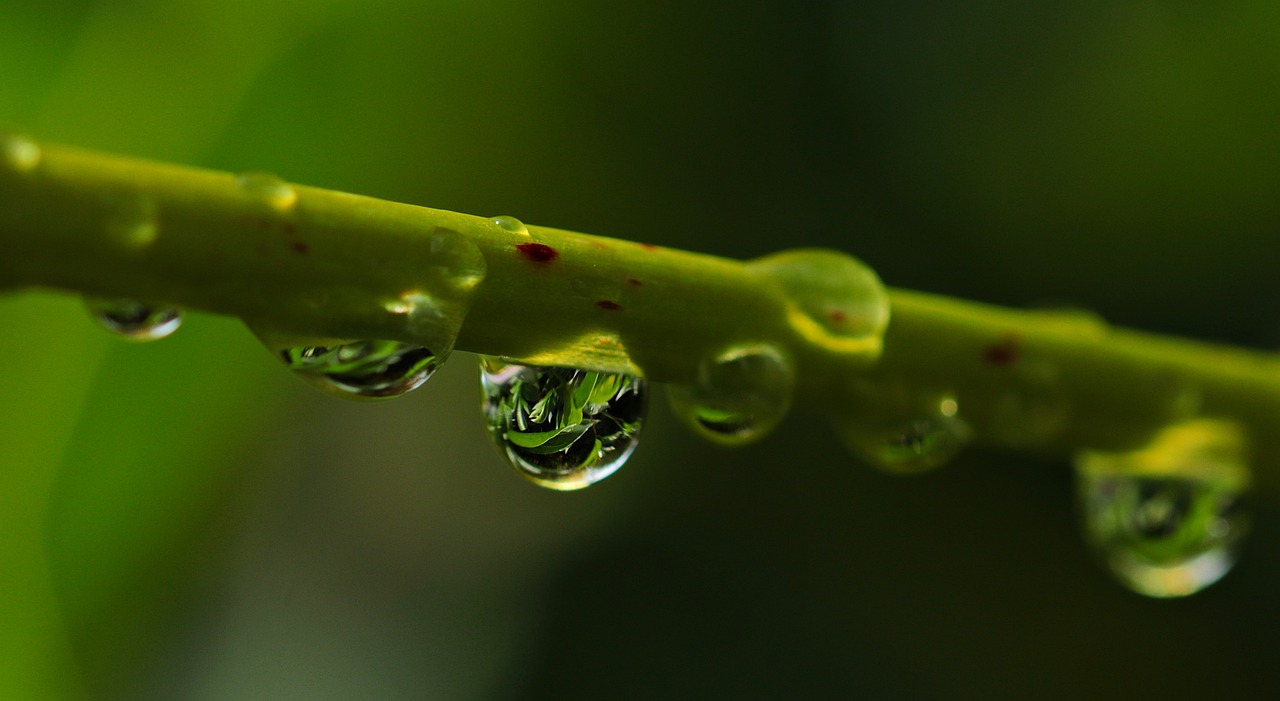 waterdrop-2396748_1280.jpg
