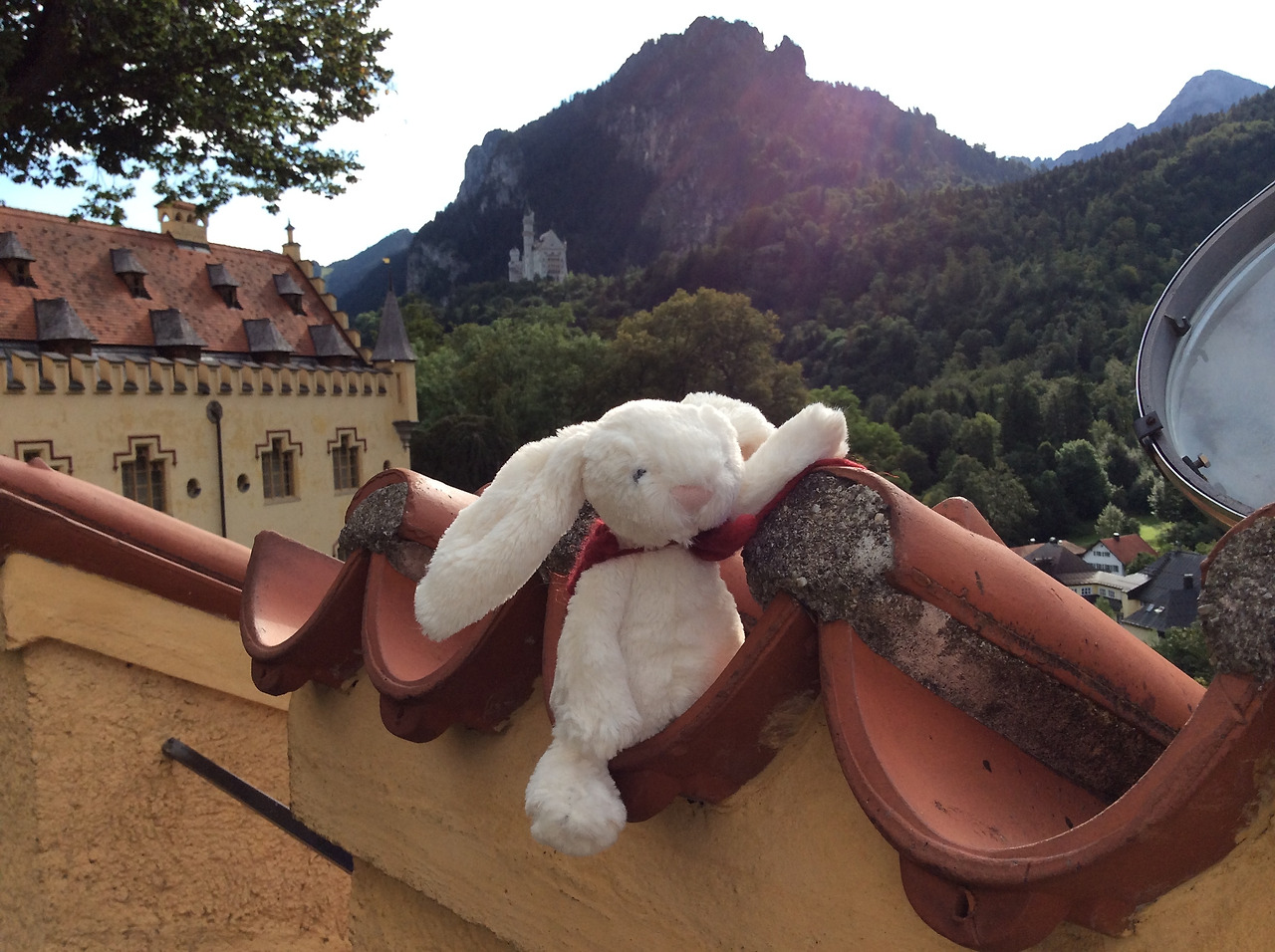 2014-08-15 09.06.36.jpg