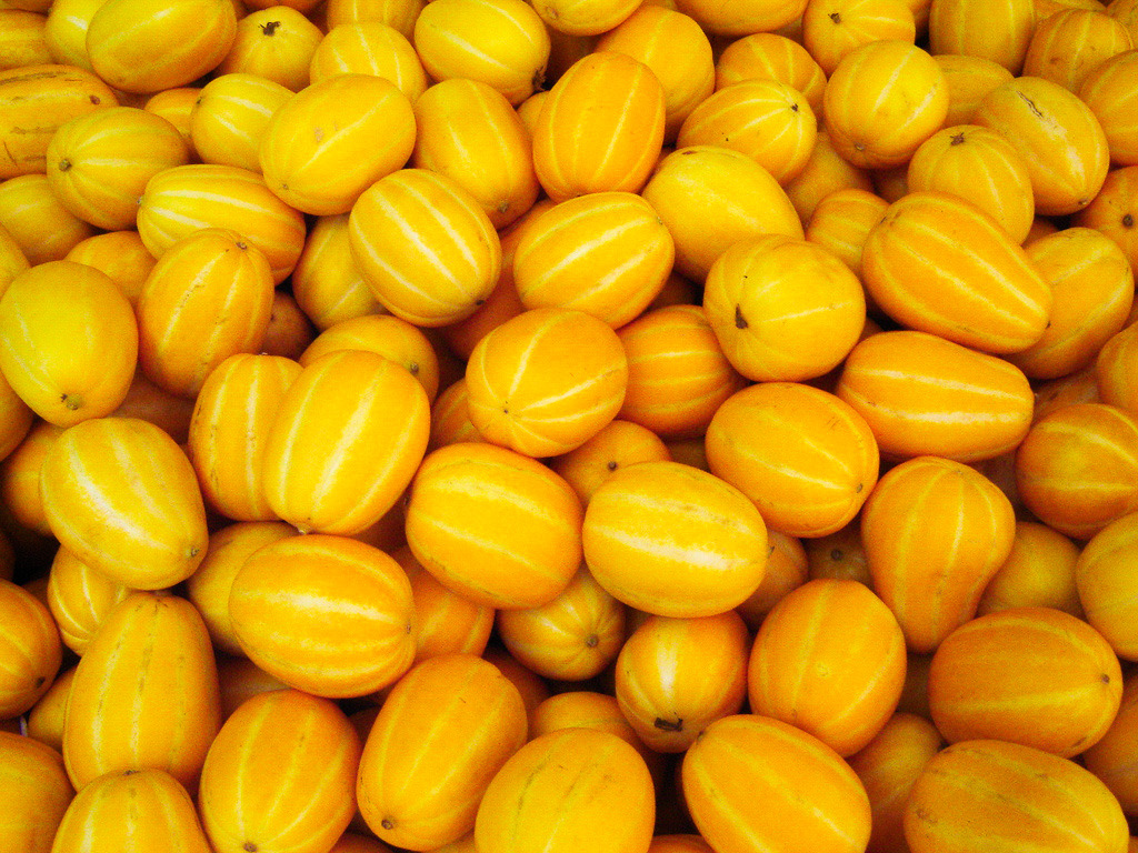 Korean_melon-Chamoe-01.jpg