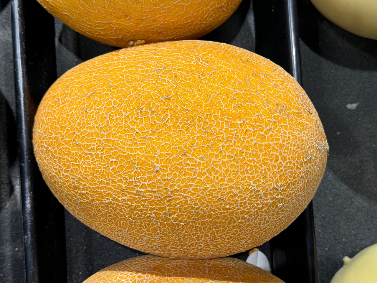 A_hami_melon_for_sale_at_a_Publix_market_in_Knoxville,_Tennessee.jpg