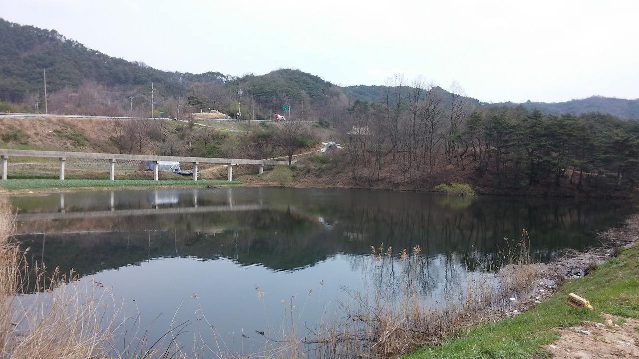20150409_114159.jpg