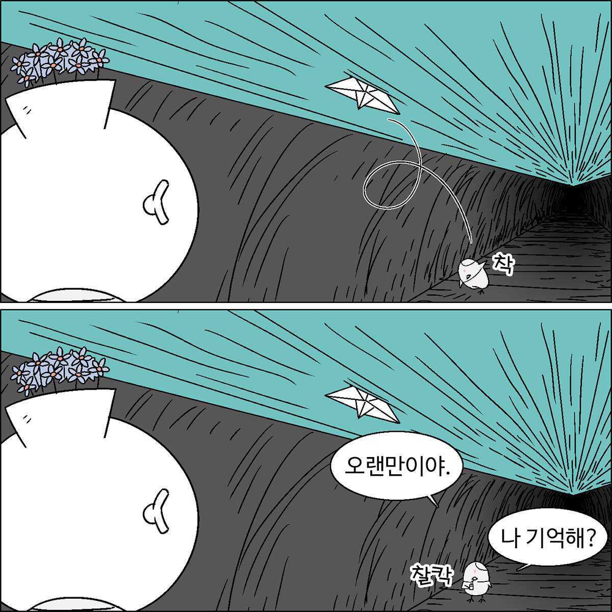 카지노 가입 쿠폰