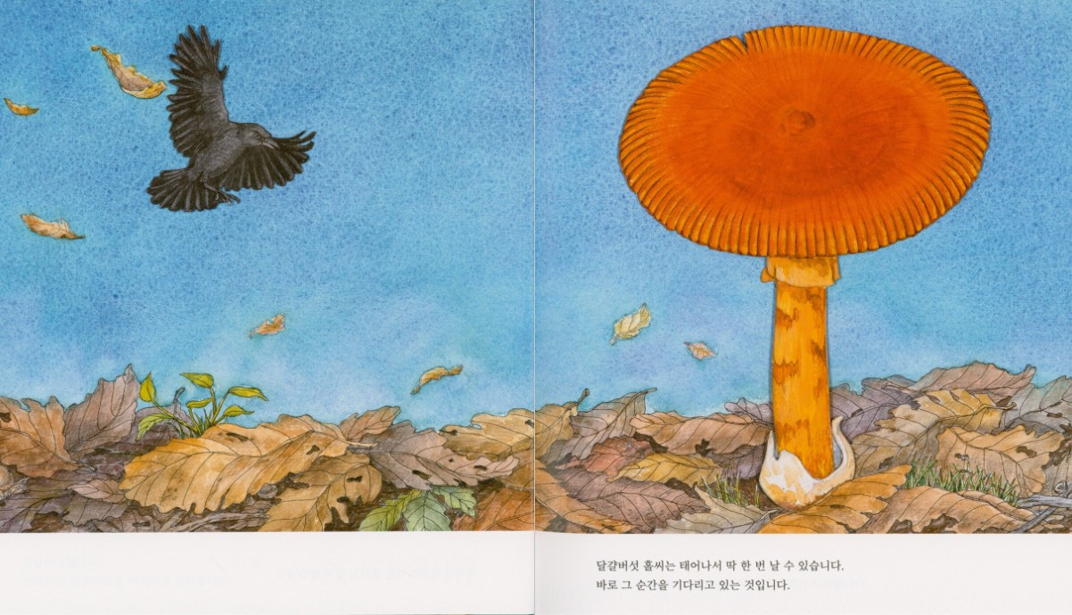 화면 캡처 2025-05-29 213344.jpg