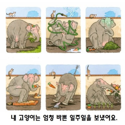 화면 캡처 2025-06-25 174211.jpg