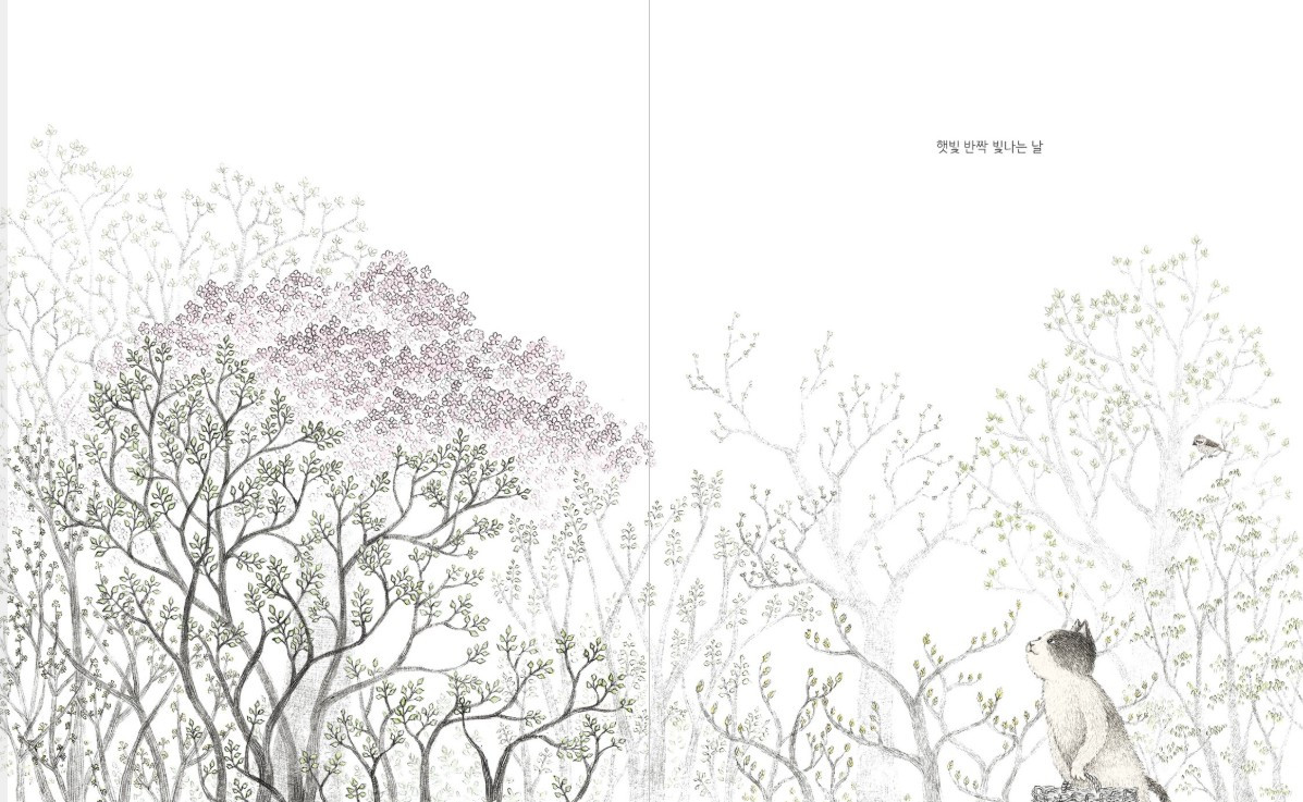 화면 캡처 2025-04-07 205803.jpg