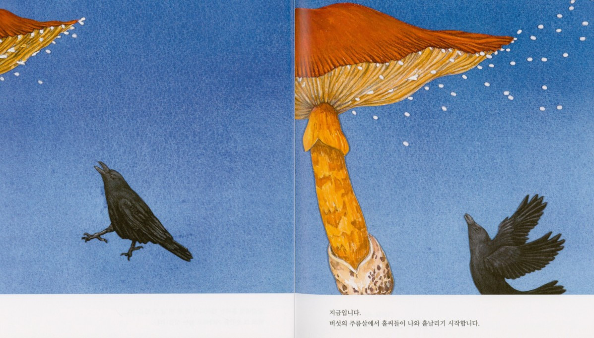 화면 캡처 2025-05-29 213413.jpg