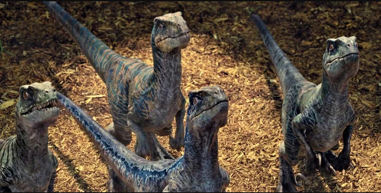 사용자 지정 1dd.jpg