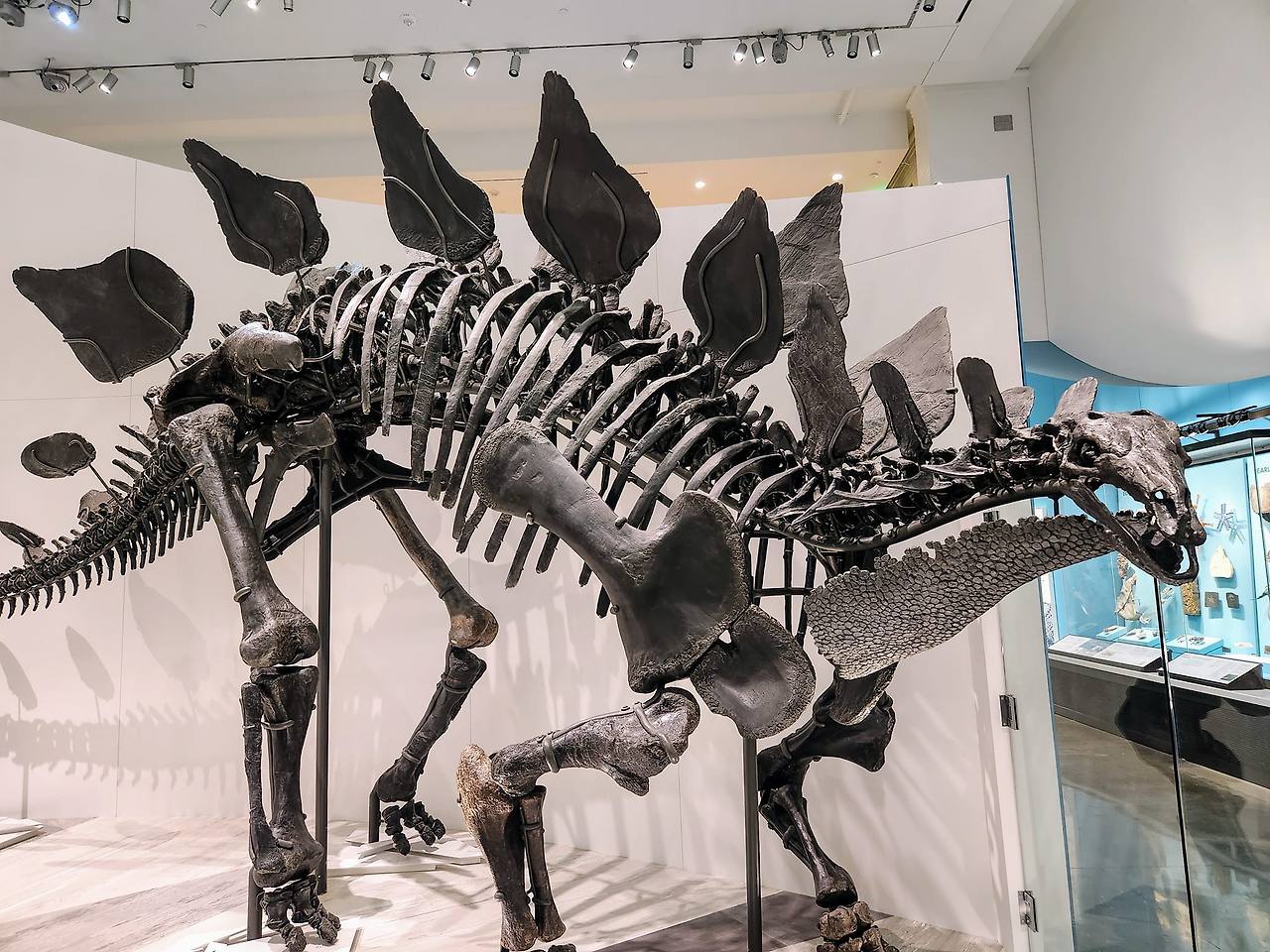 470659426_10235869453941431_3103373138617194321_n (1).jpg