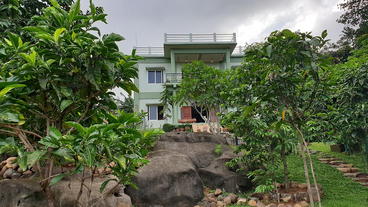 망고스틴 파티  (1).jpg