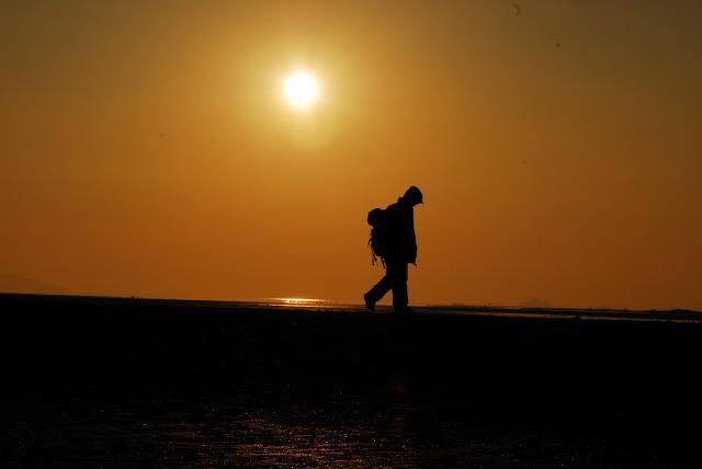 흩어진 나그네.jpg