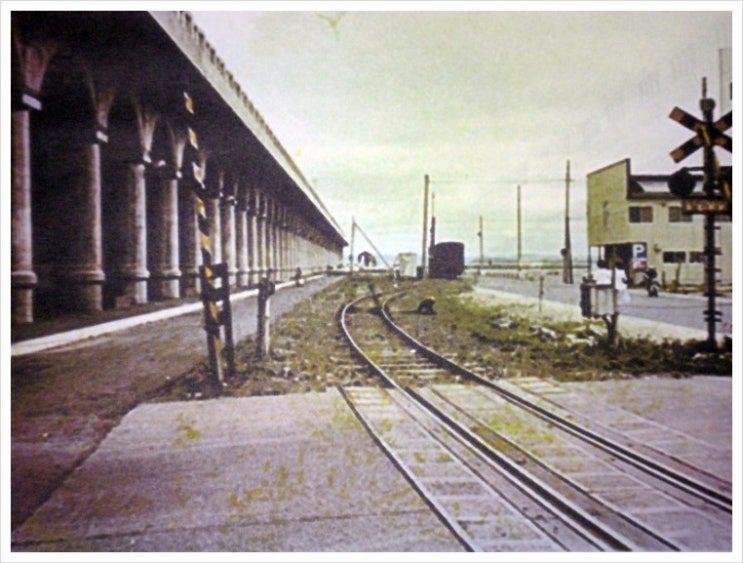 154995330562307064180_P2121884 (1).jpg